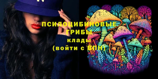 мдпв Абдулино