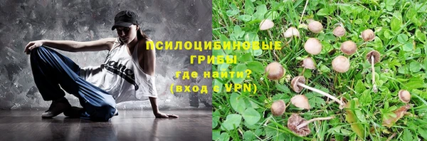 2c-b Абаза