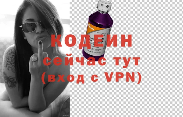 хмурый Покров