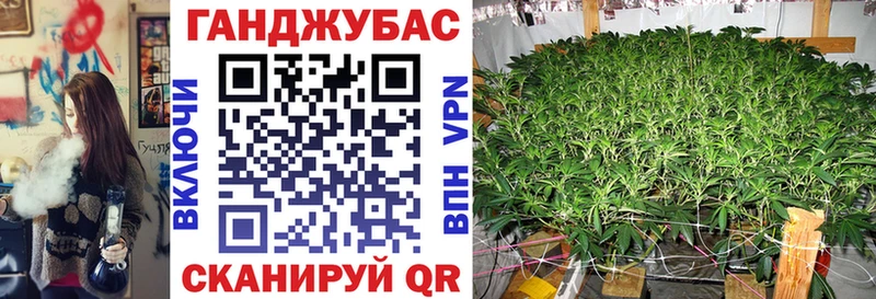 Бошки Шишки план  Зея 